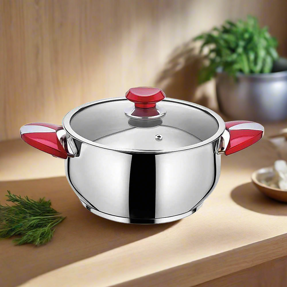 Stainless Steel Pot - 22cm