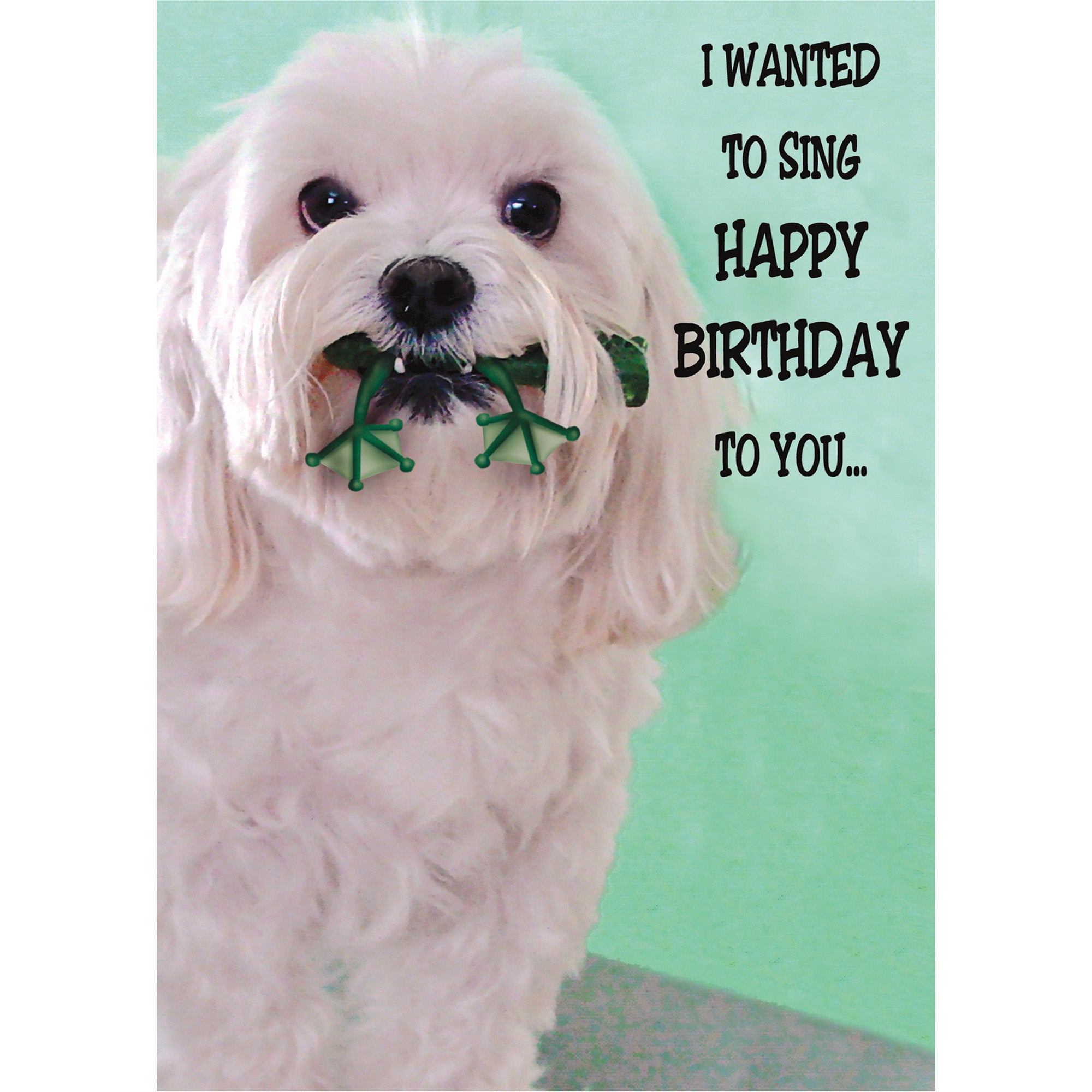 Dog & Frog Humour Birthday Greetings Card