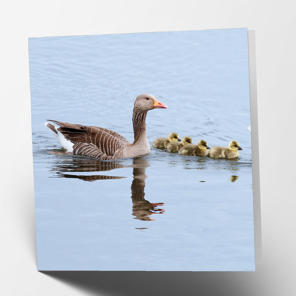 Geese Family Card