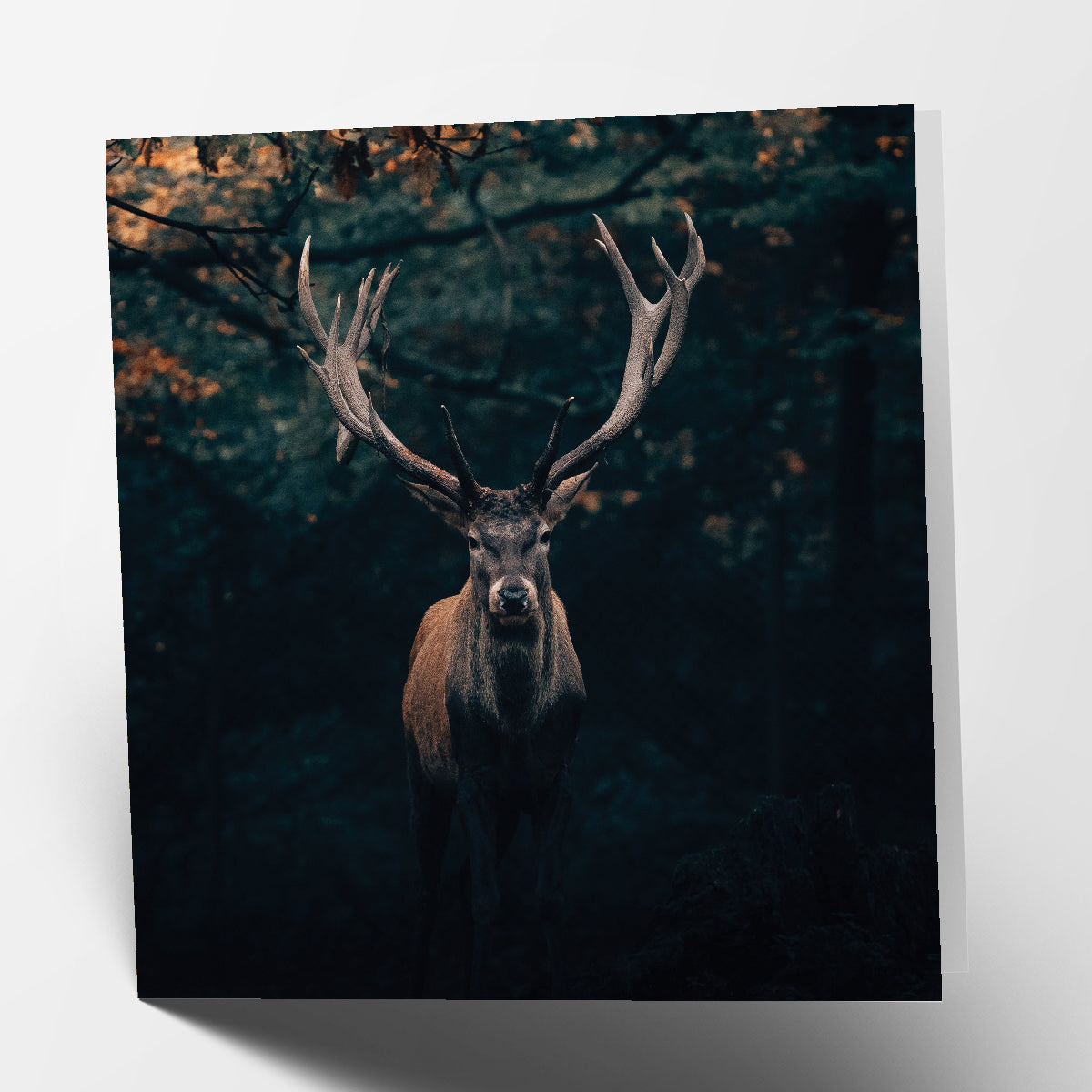 Dark Stag Card