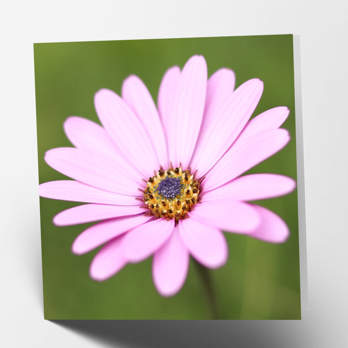 Flower Card