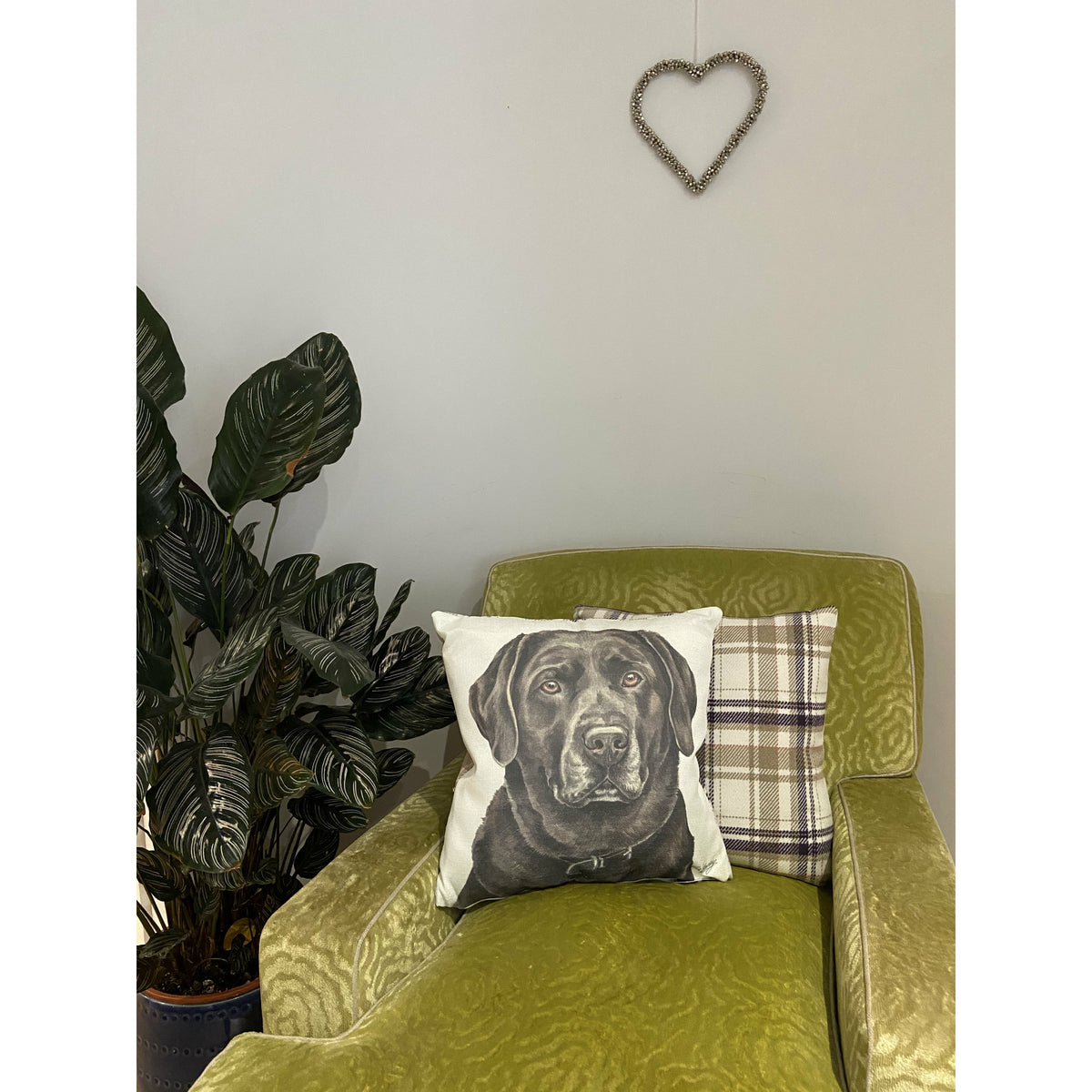 Chocolate Labrador Cushion